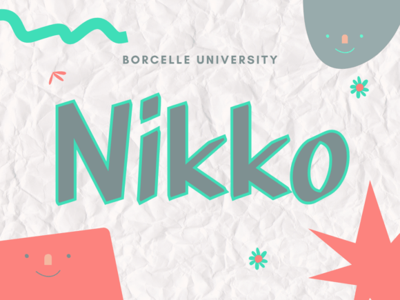 Nikko Font Review: A Slab Serif Powerhouse for Campaigns