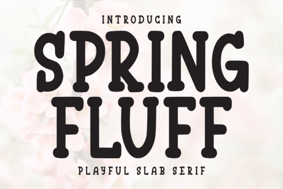 Spring Fluff: The Slab Serif Font for Vibrant Campaigns