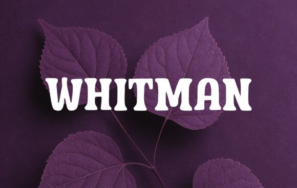 Whitman Font: A Soft Slab Serif for Bold Branding